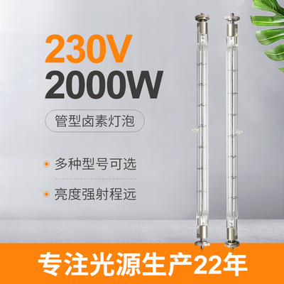 двойник вольфрама 230V 2000W закончил линейные руководства рекламы 215mm лампы галоида