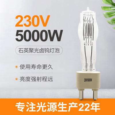Адвокатура свадьбы развлечений студии шарика лампы кварца этапа 230V 5000W G38